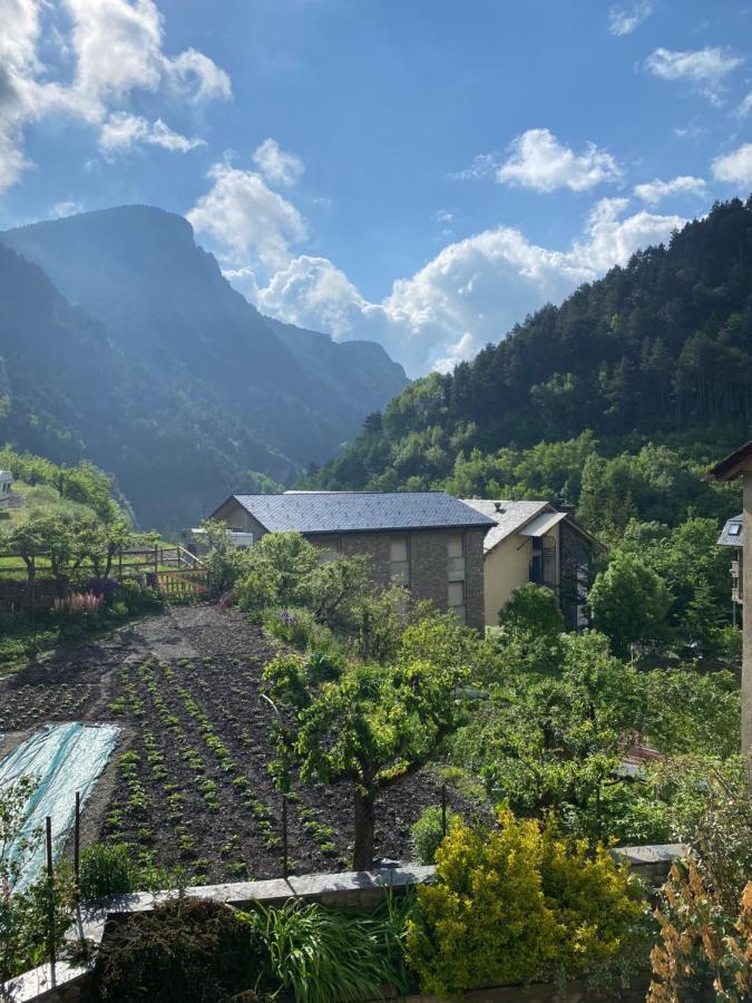Chalet Janet Erts Ngoại thất bức ảnh